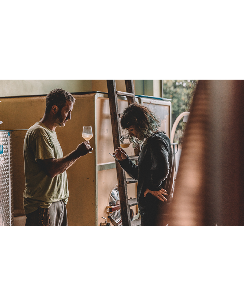 Valfaccenda Bis-Turna Rosso Freisa - Roero  DOCG 2023