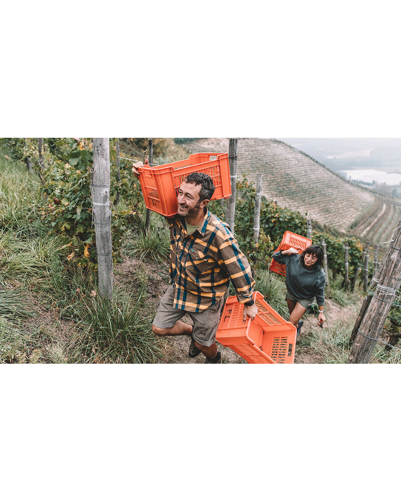 Valfaccenda Bis-Turna Rosso Freisa - Roero  DOCG 2023