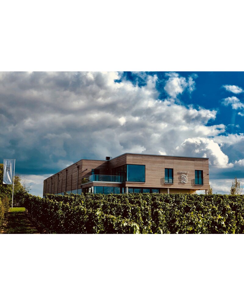 Weingut Thörle - Hölle Spätburgunder 2022