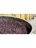 Weingut Thörle - Hölle Spätburgunder 2022
