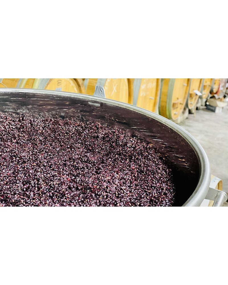 Weingut Thörle - Hölle Spätburgunder 2022