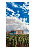 Weingut Thörle - Chardonnay Réserve 2021