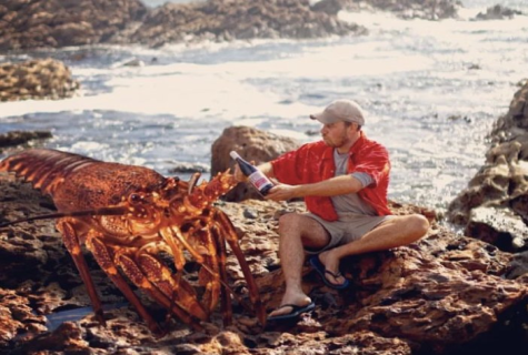 Cultwijn uit Zuid-Afrika - Het grootste talent sinds Eben Sadie