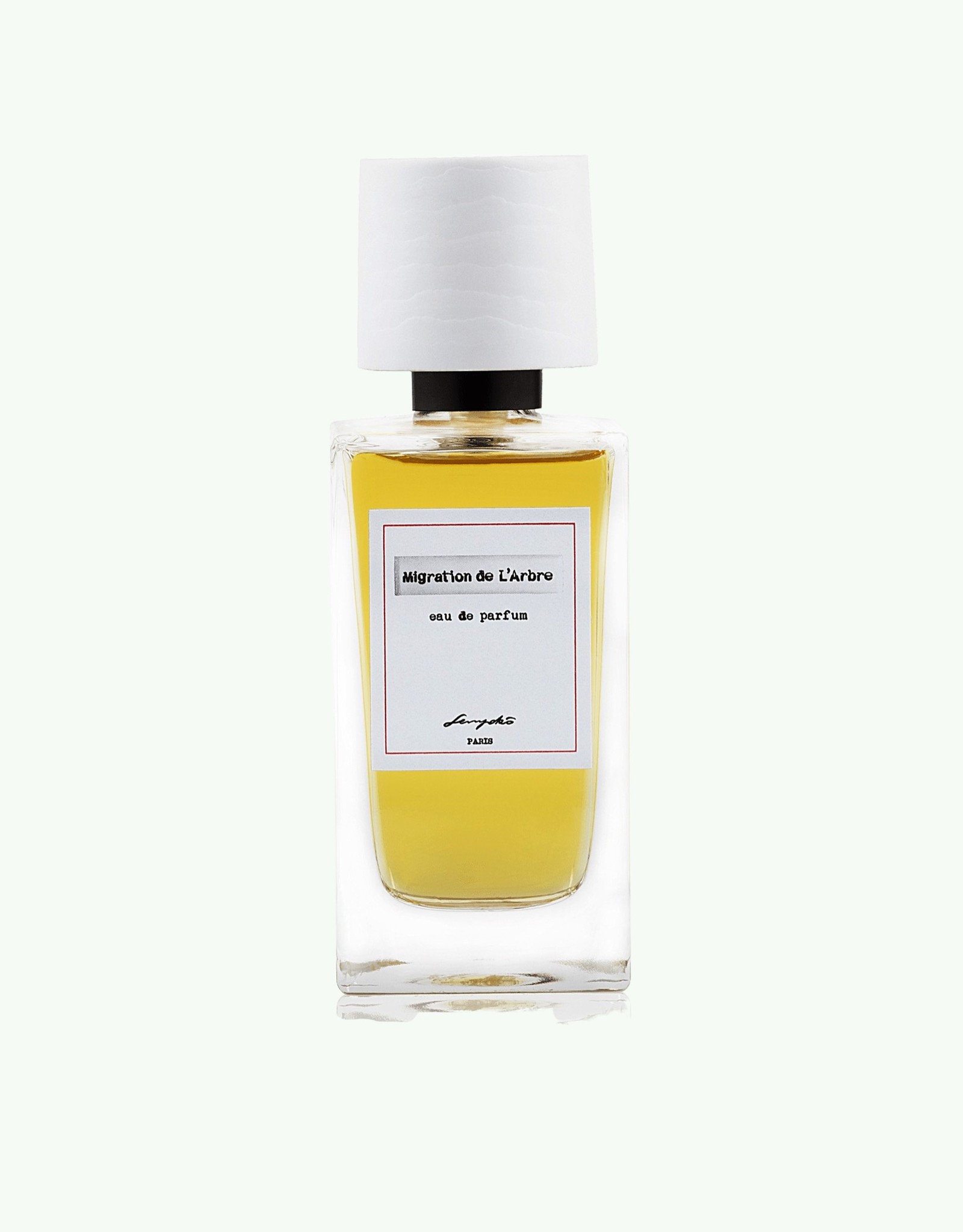 Senyoko - Migration de l'Arbre - eau de parfum - smell stories