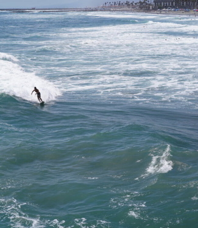 The Surf Shop of Stephane - Geurkaars 190 gr