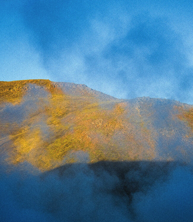 DUAL - Eau de Parfum