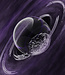 SUPERNOVA - Extrait de Parfum - 50 ml
