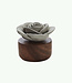 Gardenia du Laos - Parfum Diffuser - Grijs