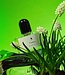 Tindrer - Eau de Parfum - 50 ml
