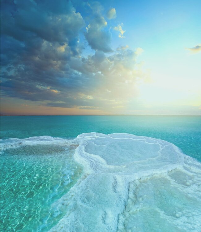 Dead Sea Mud - Glycerine Zeep - 1 x 200 gr