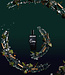 OSMO - Extrait de Parfum - 50 ml