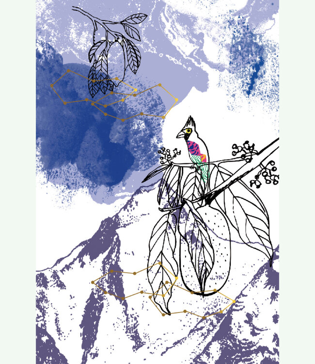 Atitlan - Eau de Parfum