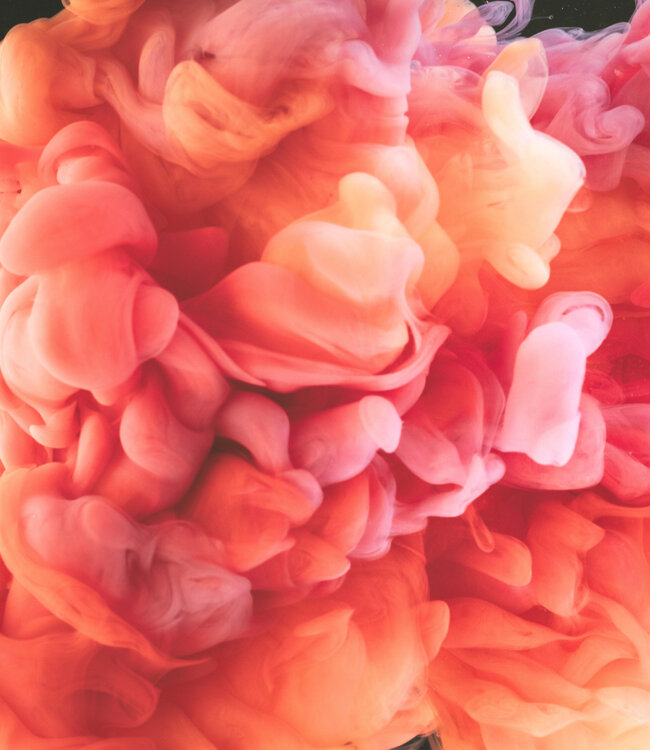 Discovery Box - Bloemen en Musk Parfums