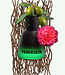 VERDESETA - Eau de Parfum - 50 ml