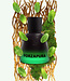 FORZAPURA - Eau de Parfum - 50 ml