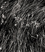 01 NAGARMOTHA - Extrait de Parfum - 30 ml
