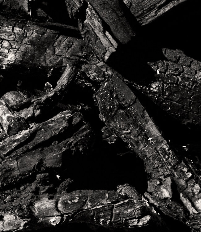 02 CADE+FRANKINCENSE - Extrait de Parfum