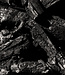02 CADE+FRANKINCENSE - Extrait de Parfum