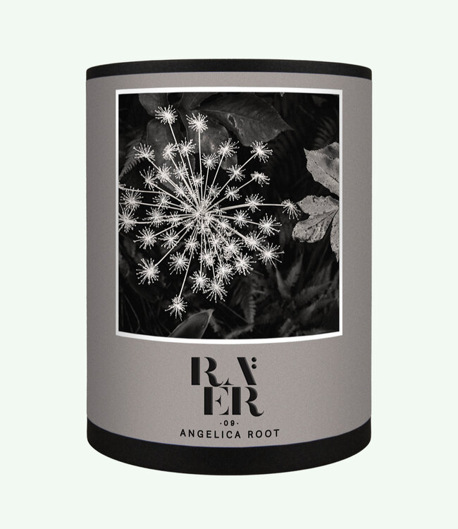 09 ANGELICA ROOT - Extrait de Parfum - 30 ml