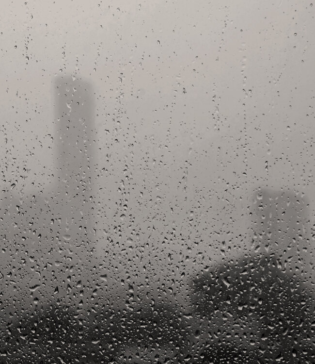 10 HOLY BASIL, JASMIN+PANDAN - Parfum