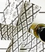 Bangla Yāsaman - Eau de Parfum - 50 ml