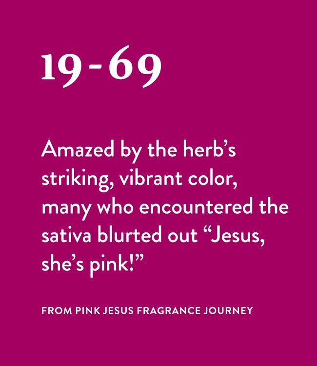 Pink Jesus - Eau de Parfum - 100 ml