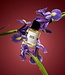 SATIN CACHE - Eau de Parfum - 50 ml