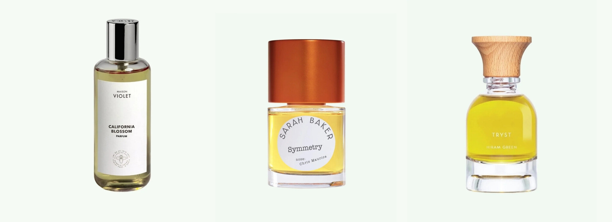 orange tree perfumes