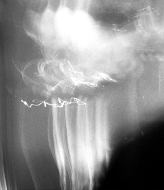 Ruméa - Eau de Parfum