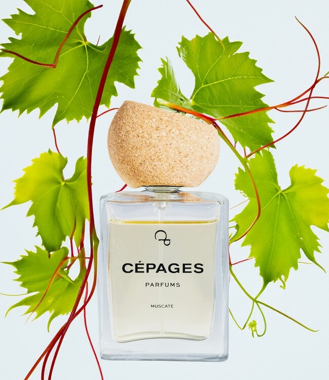 Muscaté - Eau de Parfum - 50 ml