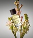 BRUTAL - Eau de Parfum