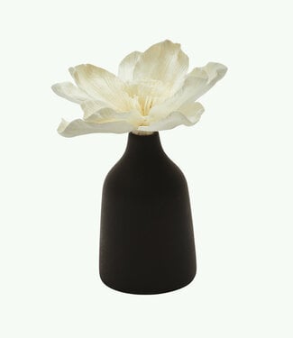 Anoq Mana diffuser Café