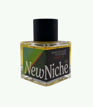 New Niche Before the World Moved Again