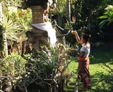 Travel to Bali with artist & perfumer Chester Gibs.