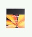 Forbidden Bloom - Extrait de Parfum
