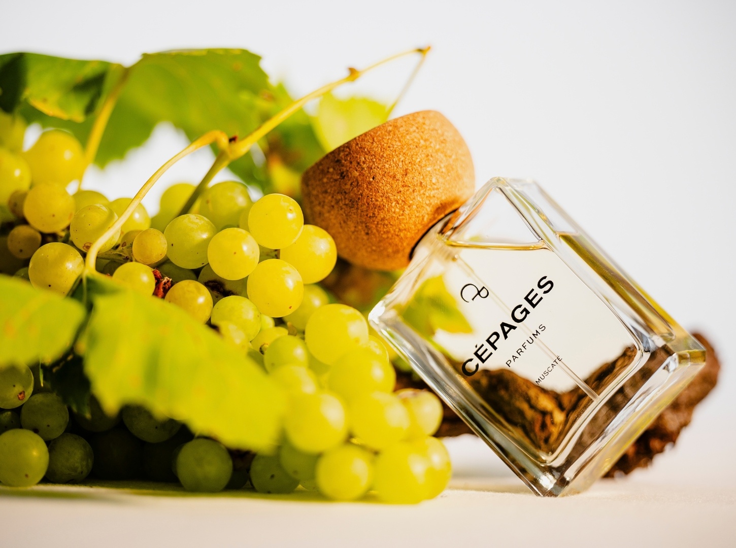 Cépages Parfums