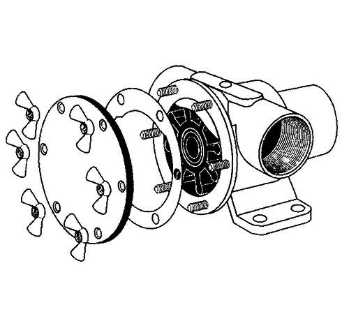 Johnson Johnson Pump set (H) RVS vleugelmoeren Pinwing & draadeind  set H (6st. M8 x M6)