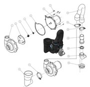 Allpa Houten Bril met deksel  voor hand- & e-toilet normale pot  Laguna