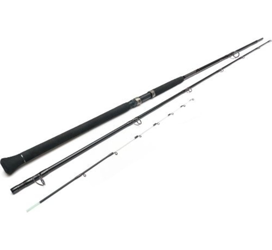 W3 Powersturgeon 2nd 12'/360cm M 3lbs/20-100g 3sec