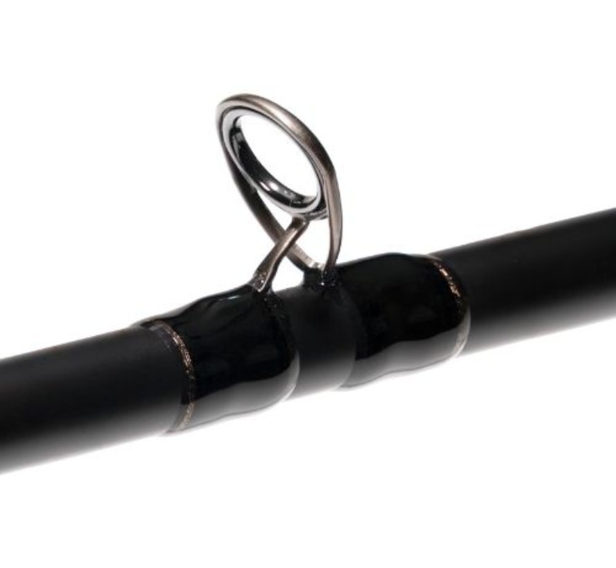 W3 Jerkbait-T 2nd 6'6"/195cm H 20-80g 2sec