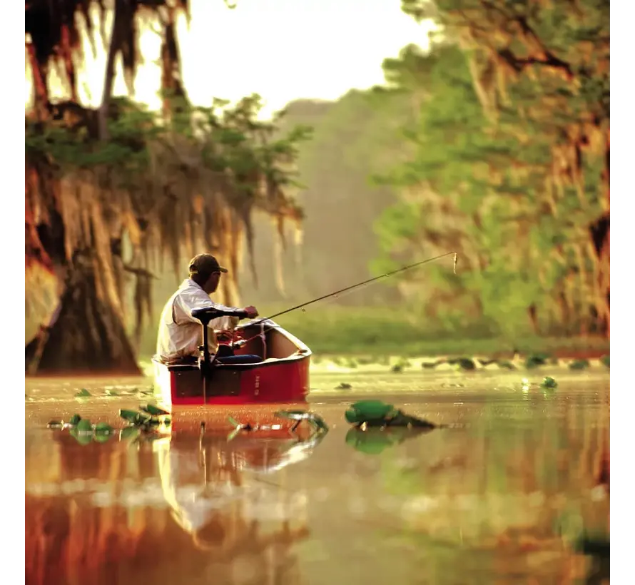 Minn Kota Endura C2 30lbs 76cm 12V Elektromotor