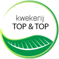 Taxus kopen? Lage prijzen! | Taxusbestellen.nl