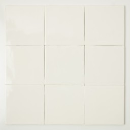 Frisiantiles Friesisches weißes Elfenbein 10x10