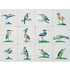 Tiles Collaert birds 1-12