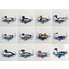 Tiles with ducks colour 1-12