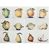 Tegels fruit 1-12