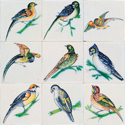 Frisiantiles Kacheln Papageien 1-9