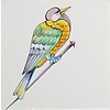 Tegels spijkervogels 1-6