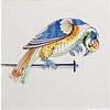 Tegels spijkervogels 1-6