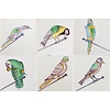 Tegels spijkervogels 19-24